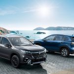 części do Suzuki S-Cross Hybrid